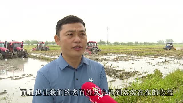 乐东:推进秸秆回收利用 改善农业农村生态环境