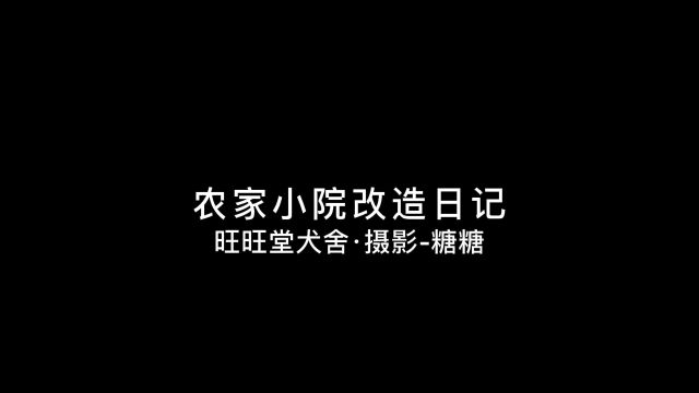 生活在喧嚣的城市,心中有田园和诗