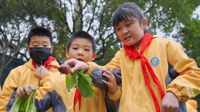 嘉兴阳光小学—小菜园