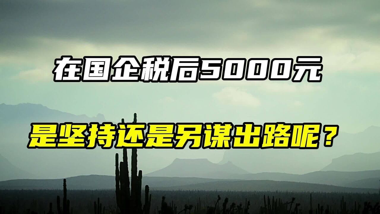 在国企税后5000元,是坚持还是另谋出路呢?