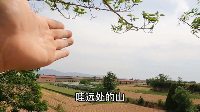 1000平米农村院子,房主只要一千,却没人看的上,这院子能要吗?