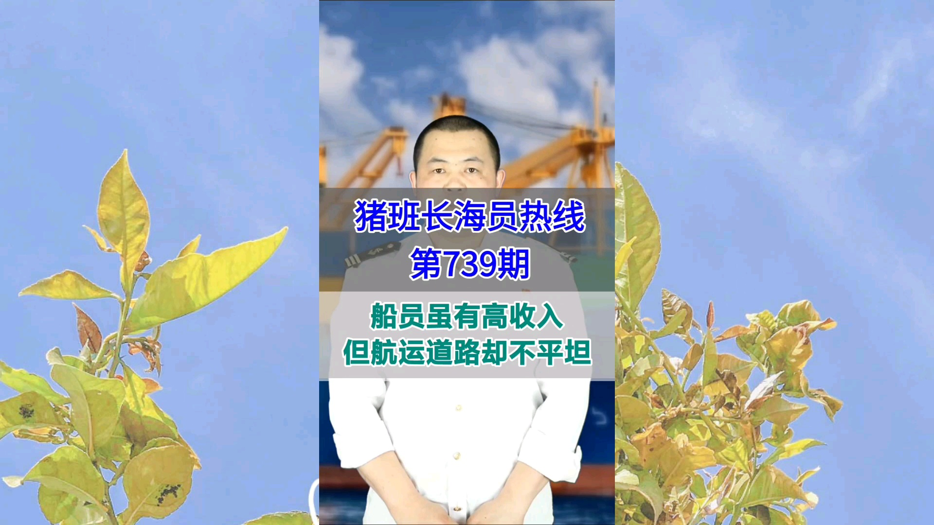 船员虽有高收入，但航运道路却不平坦(猪班长海员热线739期)