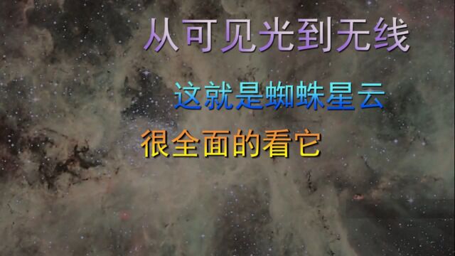 从可见光到无线,这就是蜘蛛星云,简直太美了!