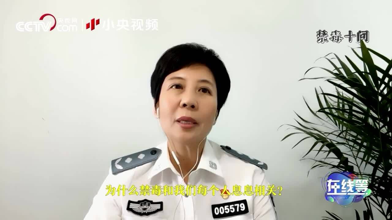 为什么禁毒和我们每个人息息相关?