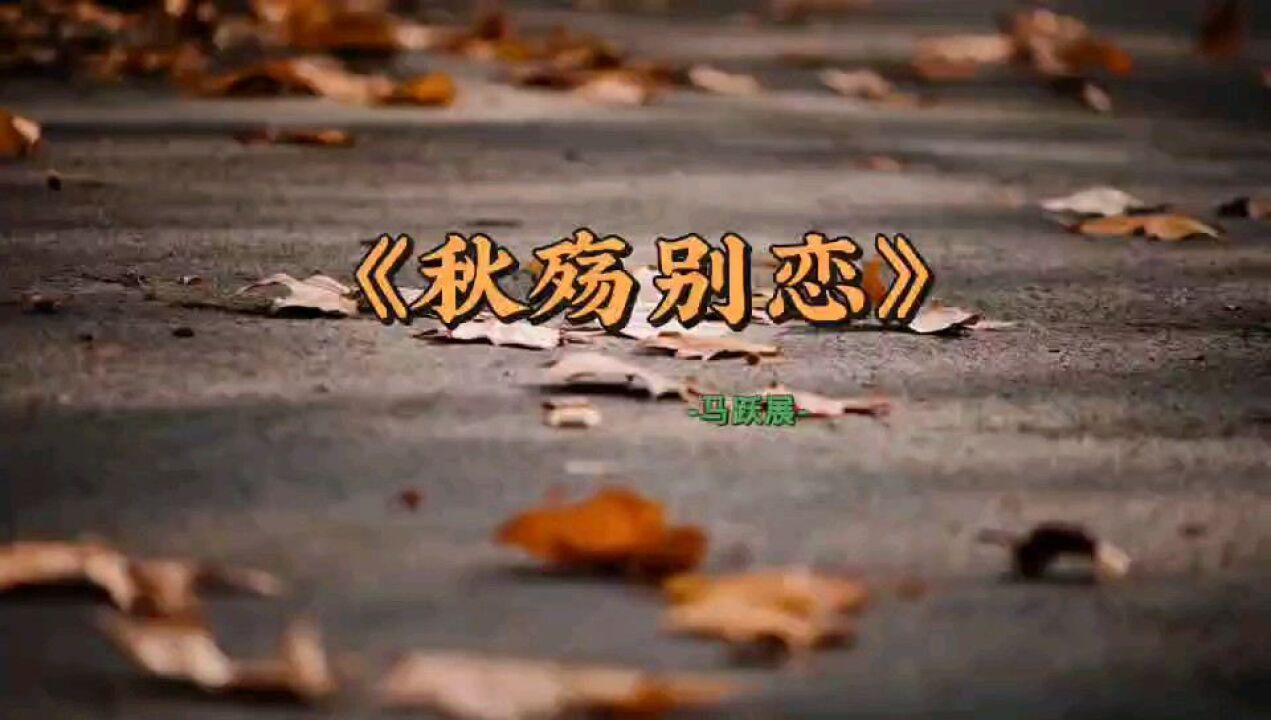 一首伤感歌曲《秋殇别恋,听哭了.