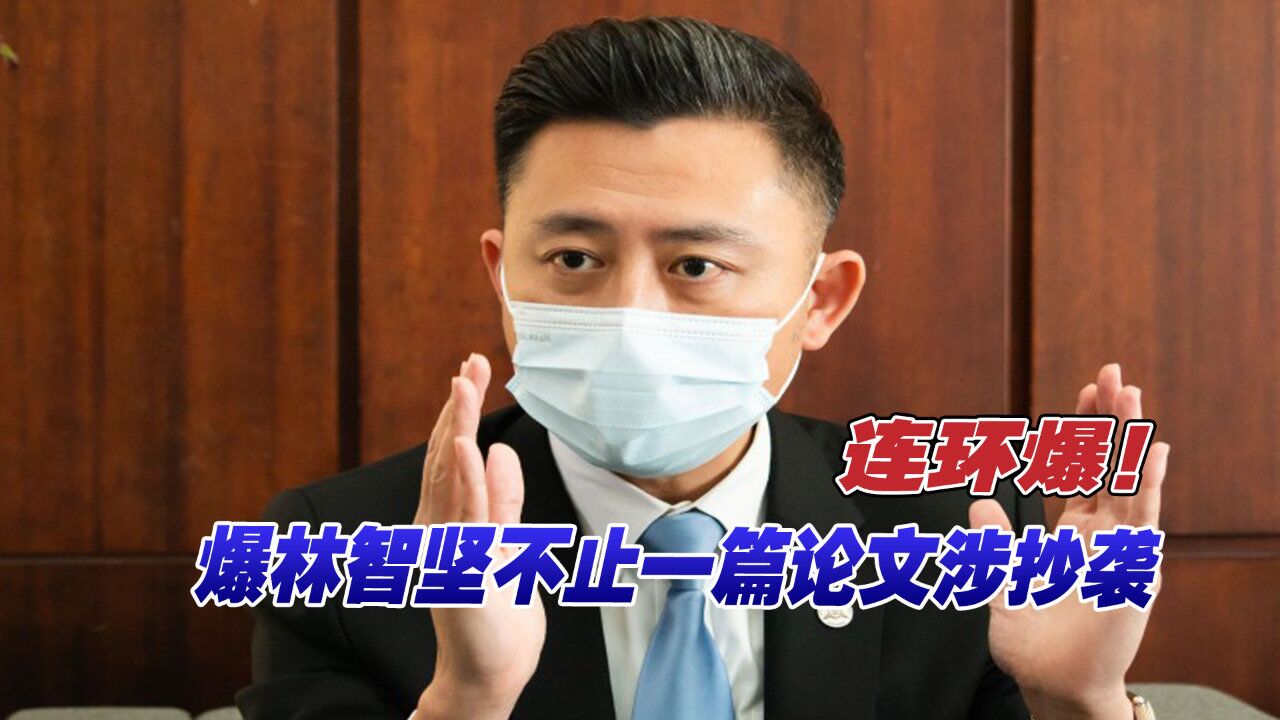 连环爆!台大退休教授爆林智坚不止一篇论文涉抄袭