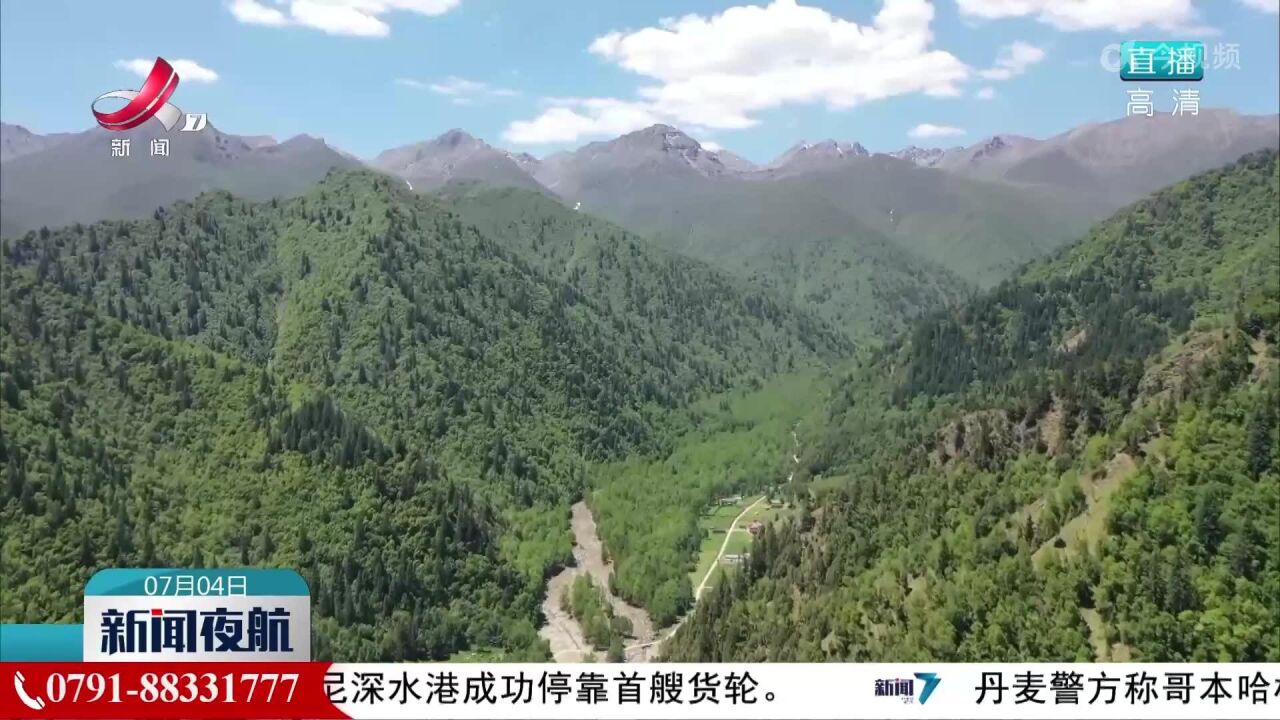 青海:互助北山林场发现国家一级保护植物—玉龙蕨