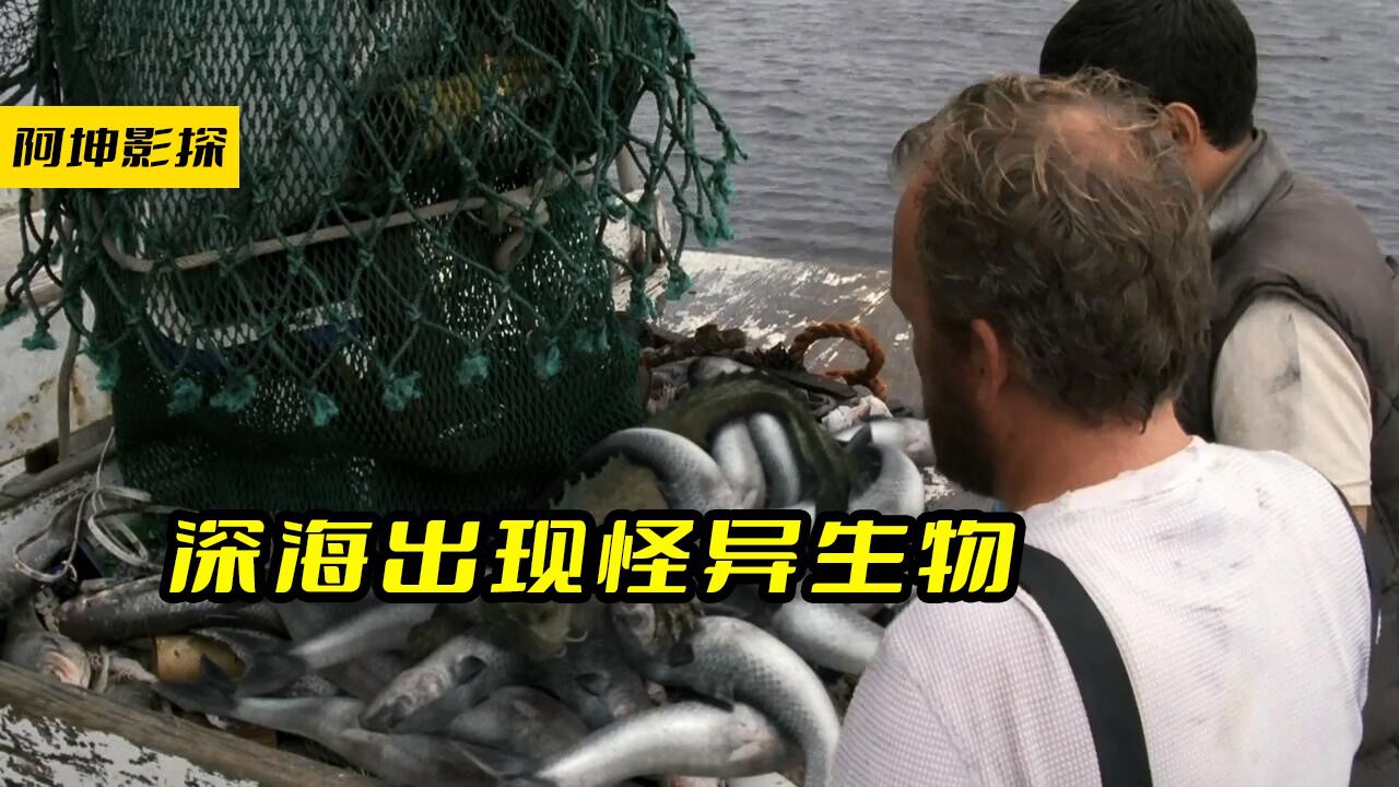 《水下之秘》深海猛兽原来这么可爱