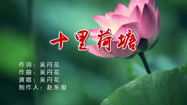 吴丹花十里荷塘 