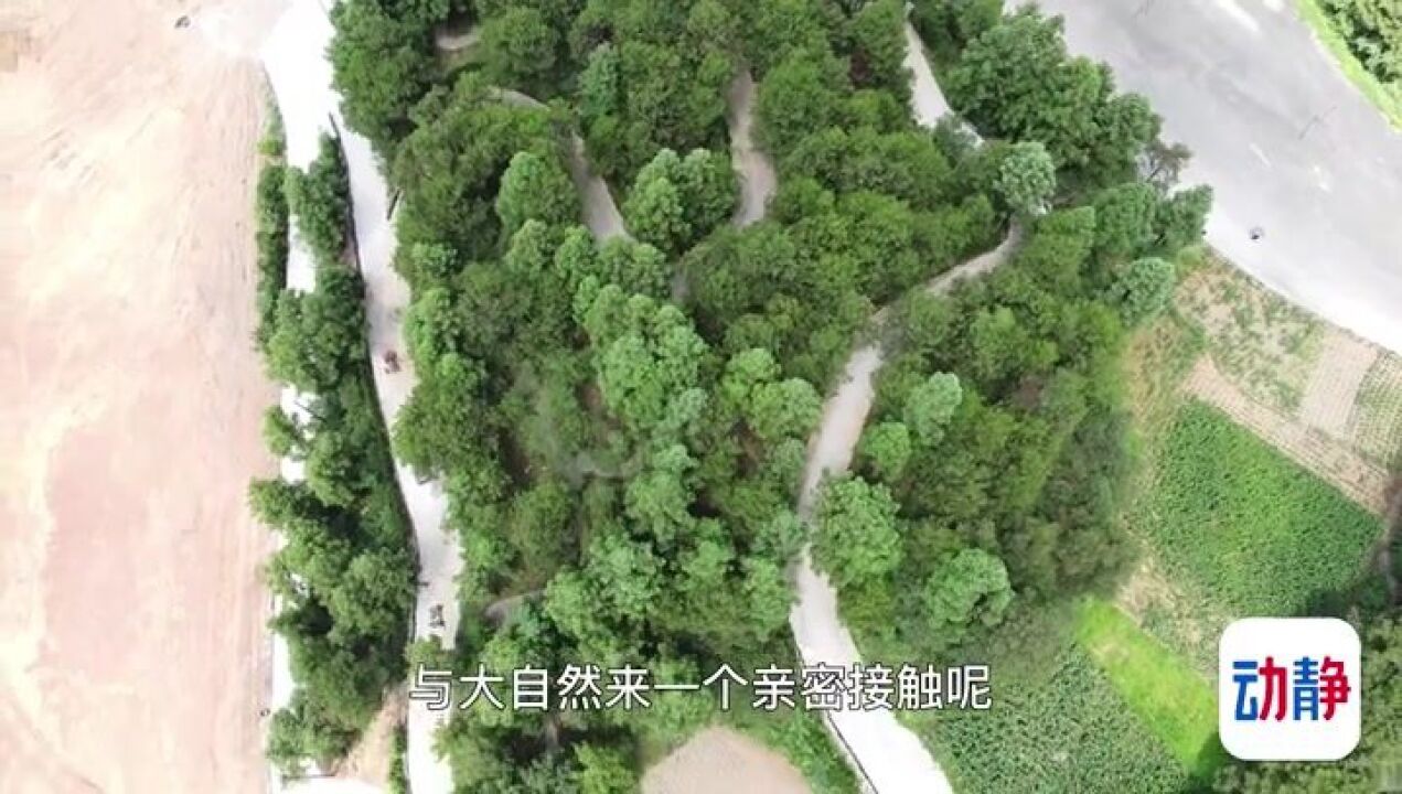 山地公园跟我游丨来万山 让你在森林“氧吧”里享受飞驰人生的畅快