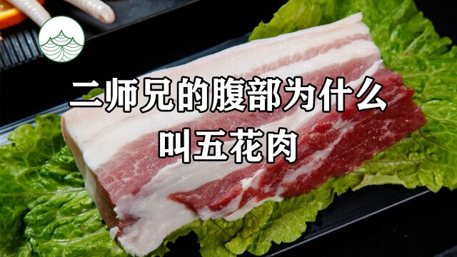 二师兄腹部的肉为什么叫五花肉呢?