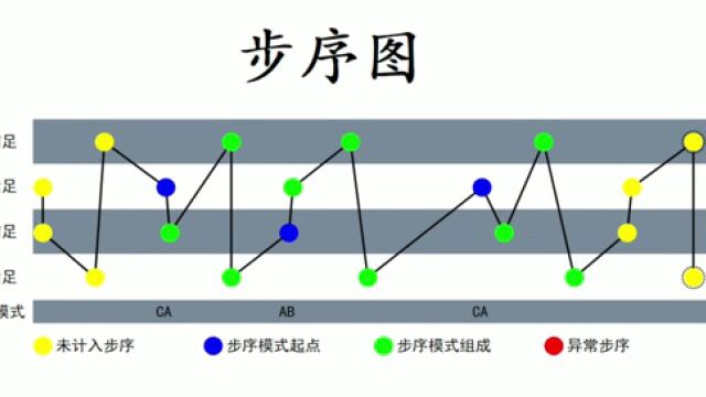 VisuGait丨一款用了都“给赞”的动物主动步态分析系统