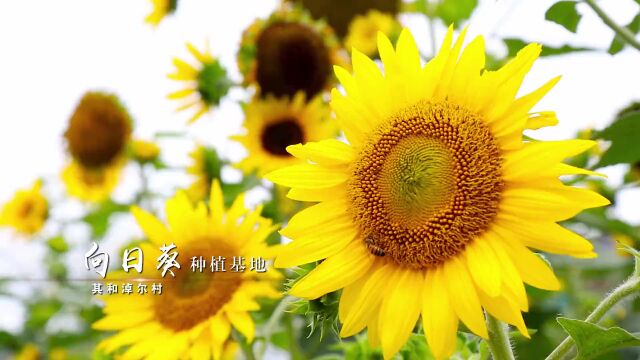 搭建平台助创业 引才返乡促振兴