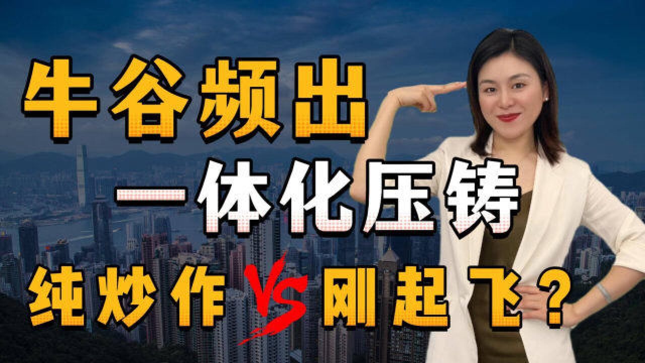 汽车一体化压铸,纯炒作 VS 刚起飞?