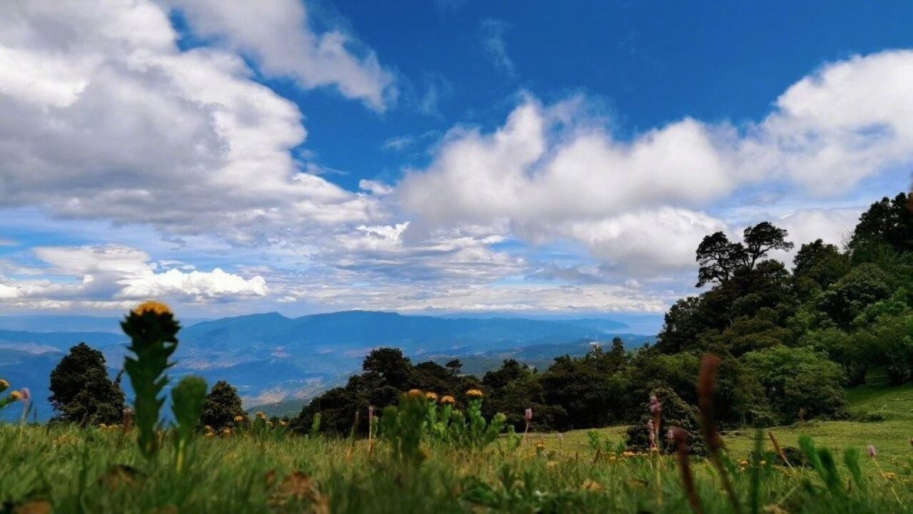 夏天那些治愈系的风景吹山风,看野花,观闲云……这里还有湛蓝的天空和旋转的风车!让心灵在自然中憩息.象象提醒,伏天到了