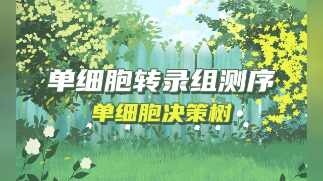 基于不同单细胞转录组测序产品实验特点创建的”单细胞决策树“