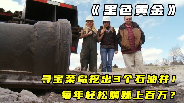 黑色黄金:寻宝菜鸟在农场挖出3口石油井!每年轻松躺赚上百万?