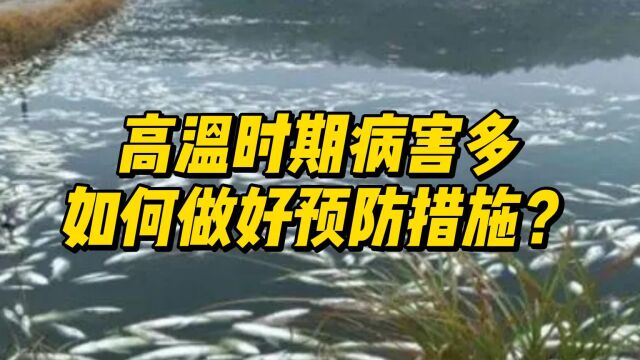 高温时期,水产养殖病害多,如何做好预防措施?