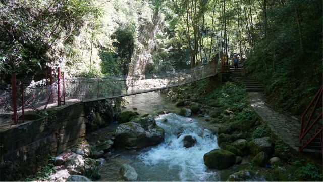 妹子陕南自驾,闯入秘境峡谷!瀑布溪流、清潭吊桥,风景太治愈了