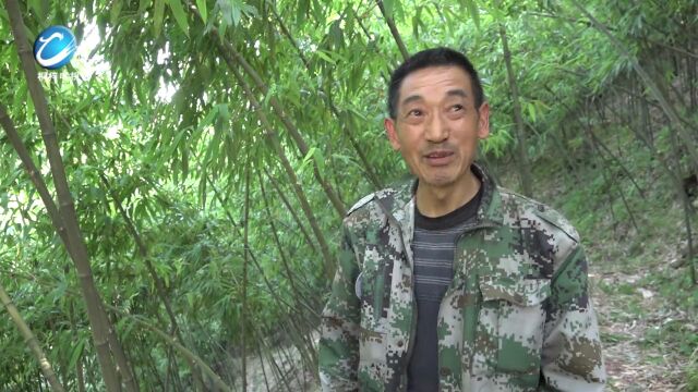 桐梓这座大山里在建“轻轨”啦!