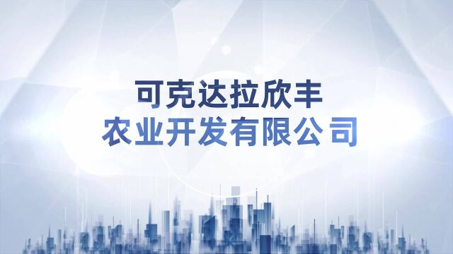 新疆可克达拉欣丰农业开发有限公司