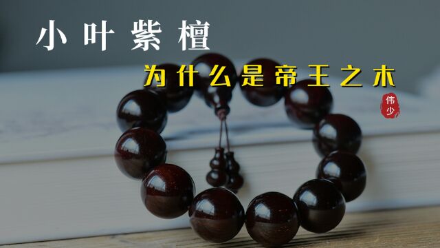 小叶紫檀凭啥是“帝王之木”?它有什么魅力,能够深受文玩人追捧