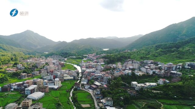 《福建新视野》泉州市洛江区罗溪镇洪四村