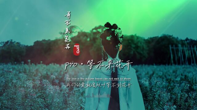 pro《等不来花开》无损音质完整版饭制MV,长期霸榜的歌,好听