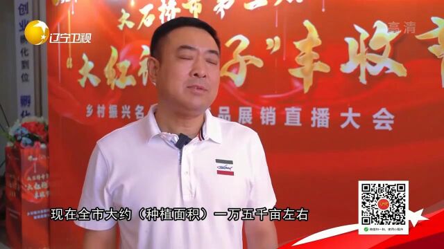 大有“钱”途的大红袍李子