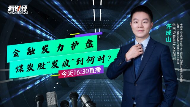 华西证券首席投顾许成山:金融发力护盘 煤炭股“发疯”到何时?