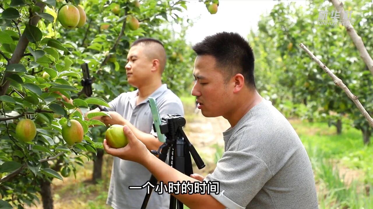 河北文安:直播带货进乡村 滞销农人“有盼头”