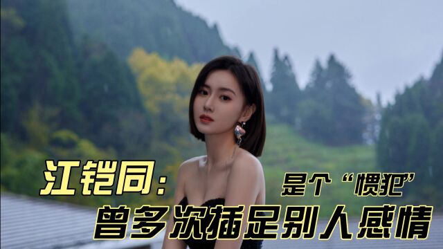 江铠同:曾多次插足别人感情,是个“惯犯”