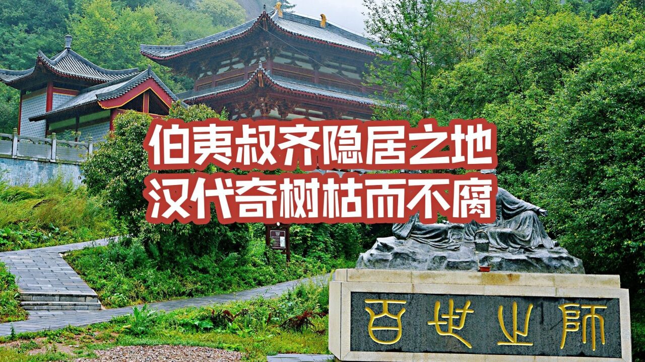 甘肃渭源这座山,是伯夷叔齐隐居之地,汉代奇树枯而不腐实属罕见