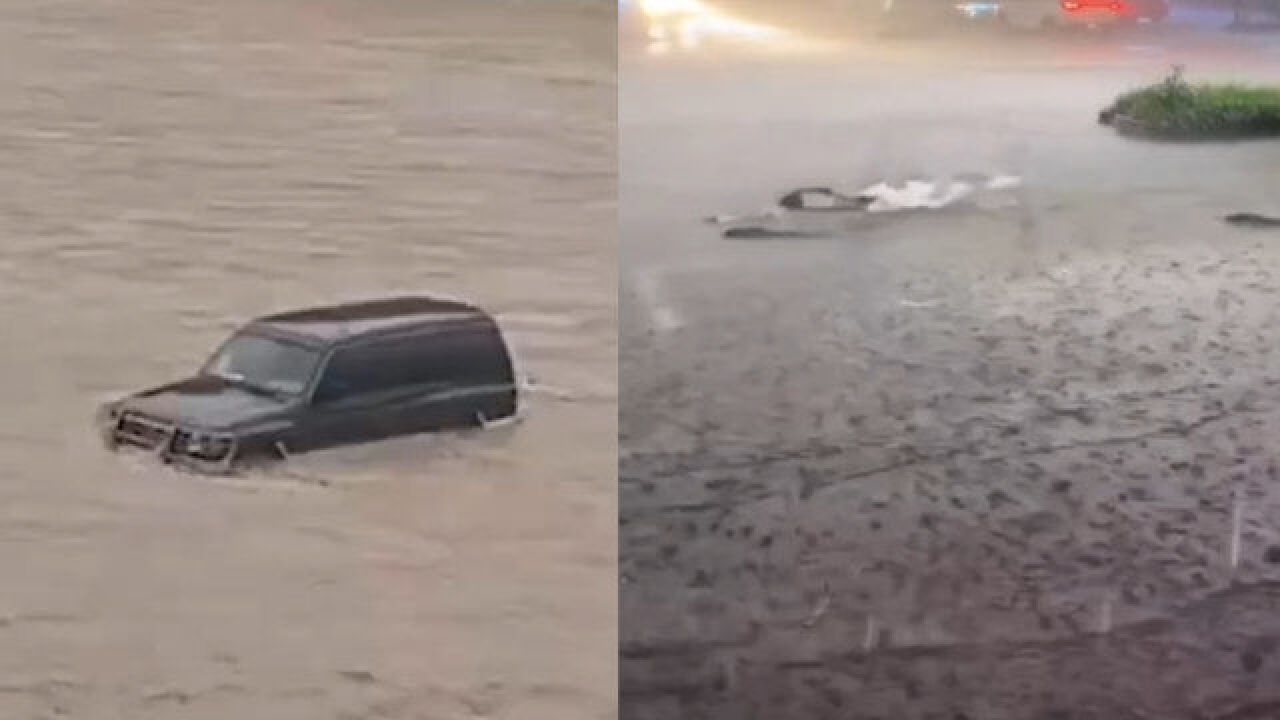 实拍四川达州暴雨!雨势猛烈车辆被淹 大鱼游上街头四处乱窜