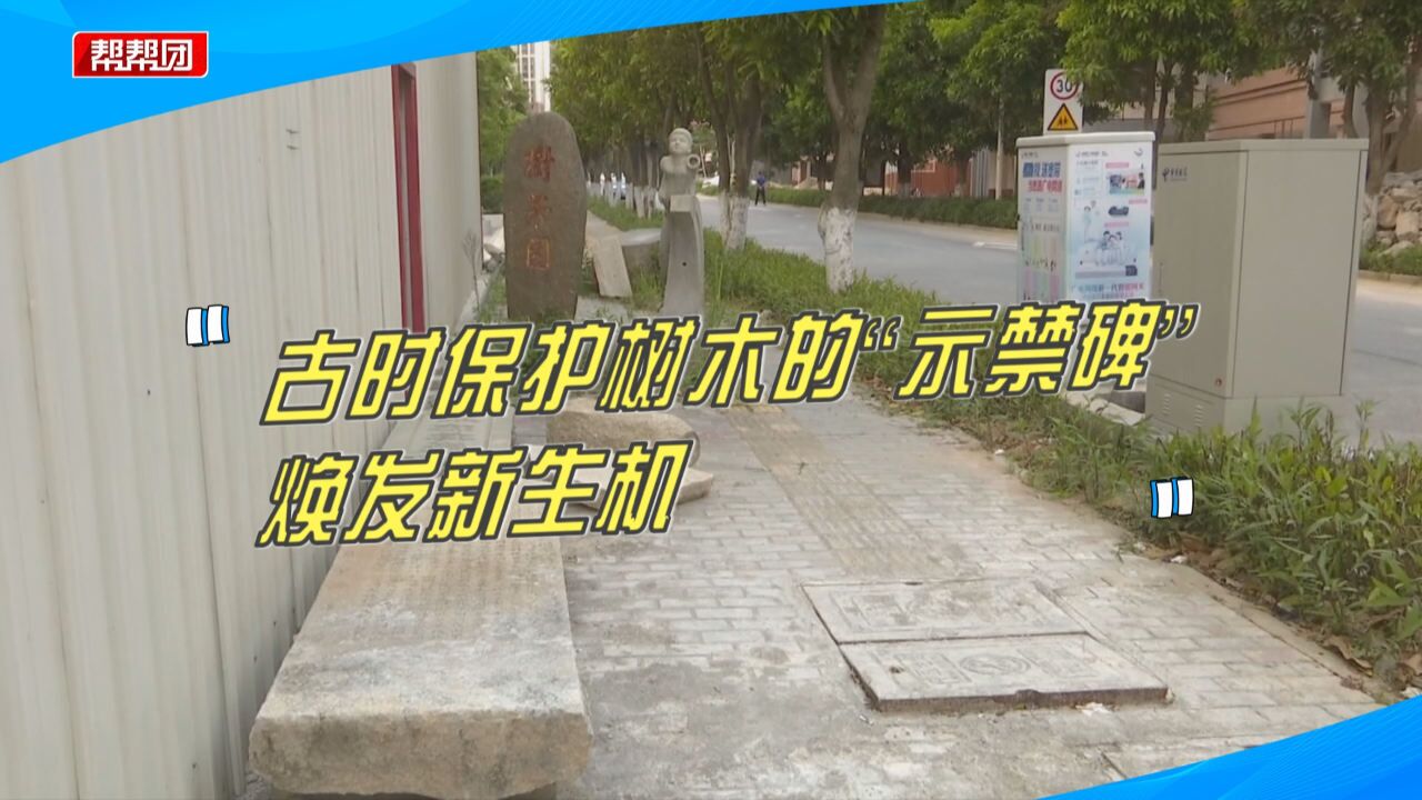 特制底座、修复碑文,古时保护树木的“示禁碑” 焕发新生机