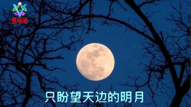 赏花听歌 一首《又是一年中秋夜》欢乐中秋节