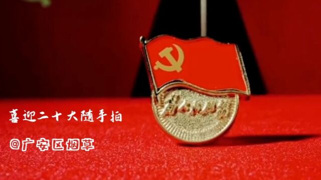 党徽闪耀映初心,踔厉奋进新征程广安区局