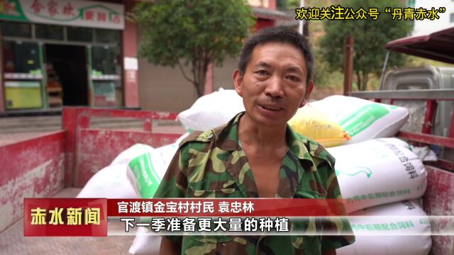 赤水官渡镇:高粱收购忙 农户喜开颜