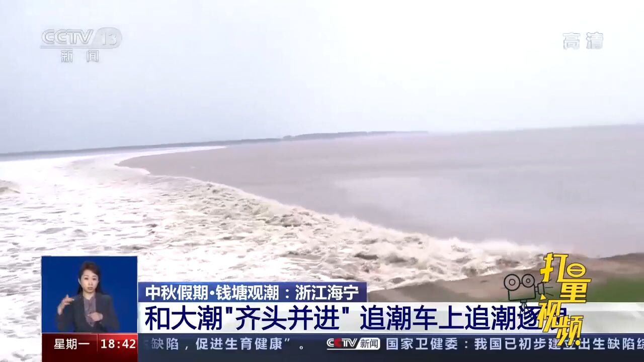 浙江海宁:和大潮“齐头并进”,追潮车上追潮逐浪