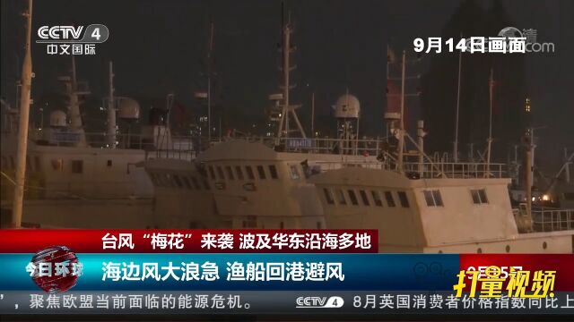 受“梅花”影响,浙江舟山海边风大浪急,渔船回港避风