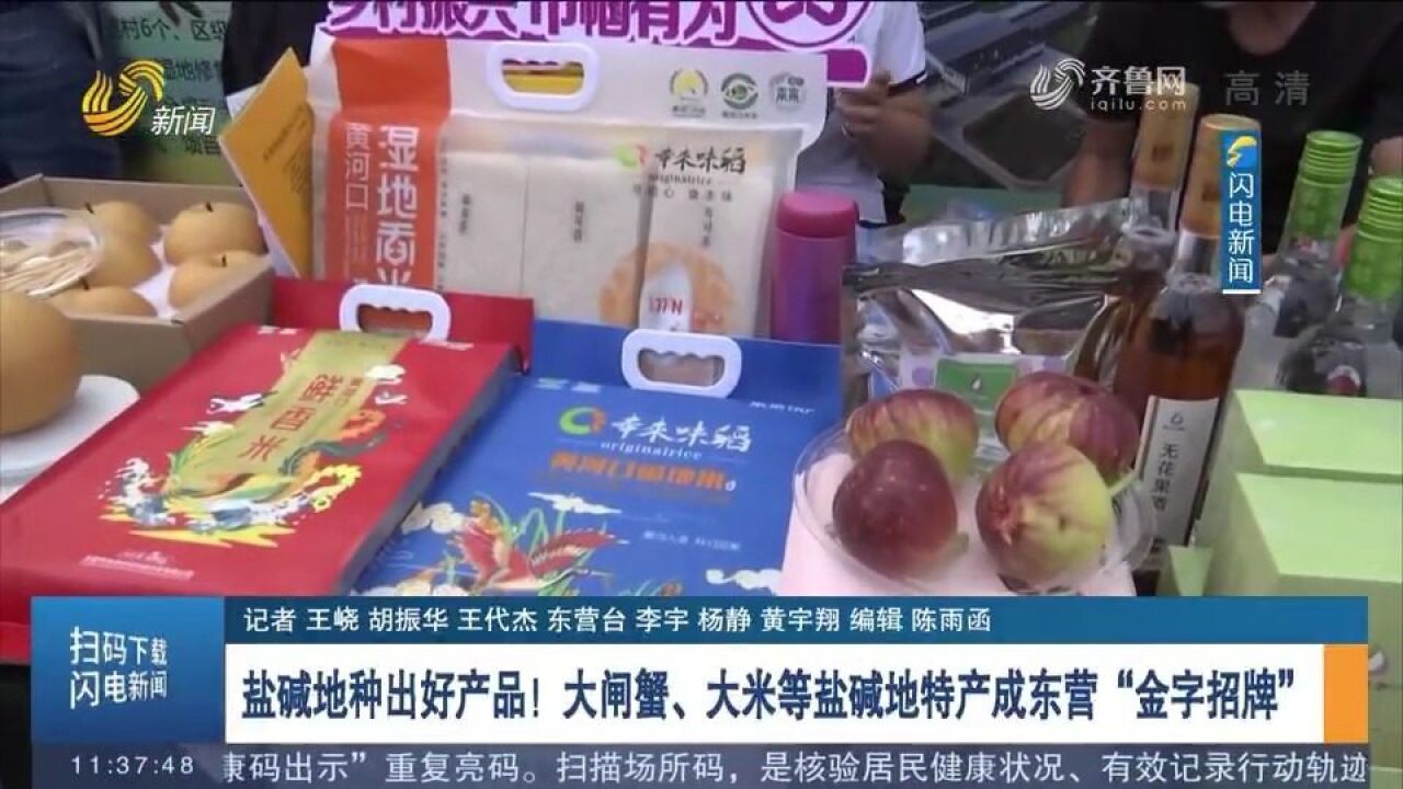 盐碱地种出好产品!大闸蟹、大米等盐碱地特产成东营“金字招牌”