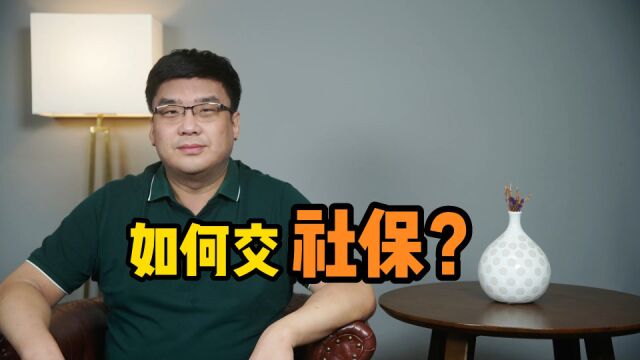 自由职业者,到底如何交社保?专家解读来了!