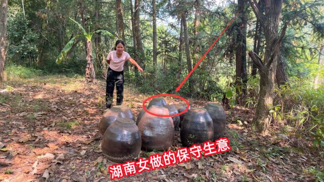 湖南媳妇投资6000元,在村里后山做保守生意,三个月能赚十几万