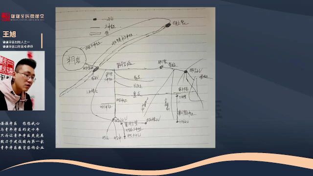 谦谦牙医2023年口腔执业(含助理)医师资格考试口腔解剖生理学