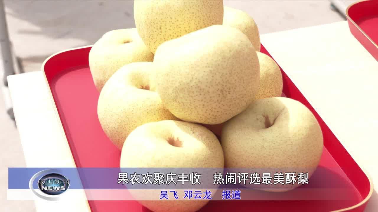 果农欢聚庆丰收,热闹评选最美酥梨