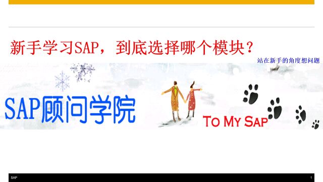 SAP新手,应该选择哪个模块入行?