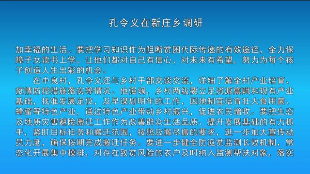 孔令义在新庄乡调研