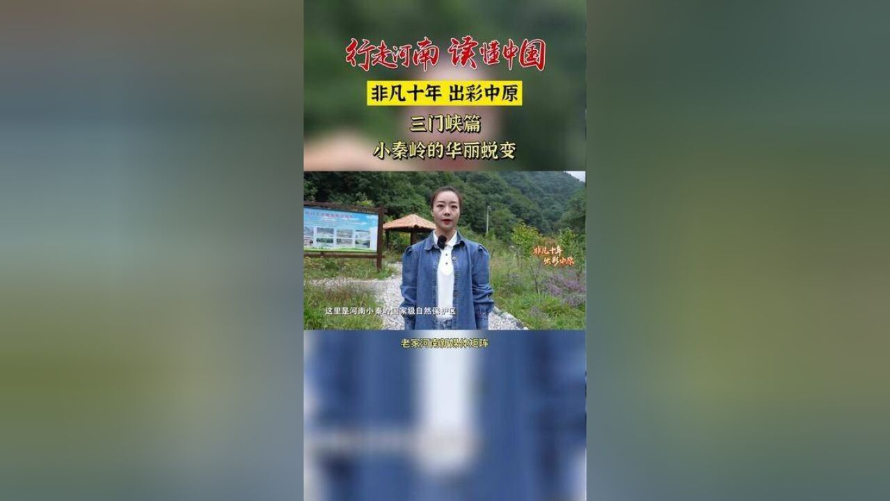 行走河南读懂中国“非凡十年 出彩中原”三门峡篇,小秦岭的华丽蜕变.