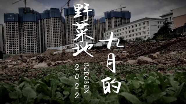 废墟里的野菜地,城市中的停工楼盘,那些沉默大多数,这个九月的贵阳,让我们看见自强不息