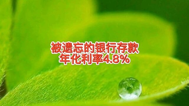 发现了被忘记的银行存款,一年期年化利率4.8%,可惜存的金额少